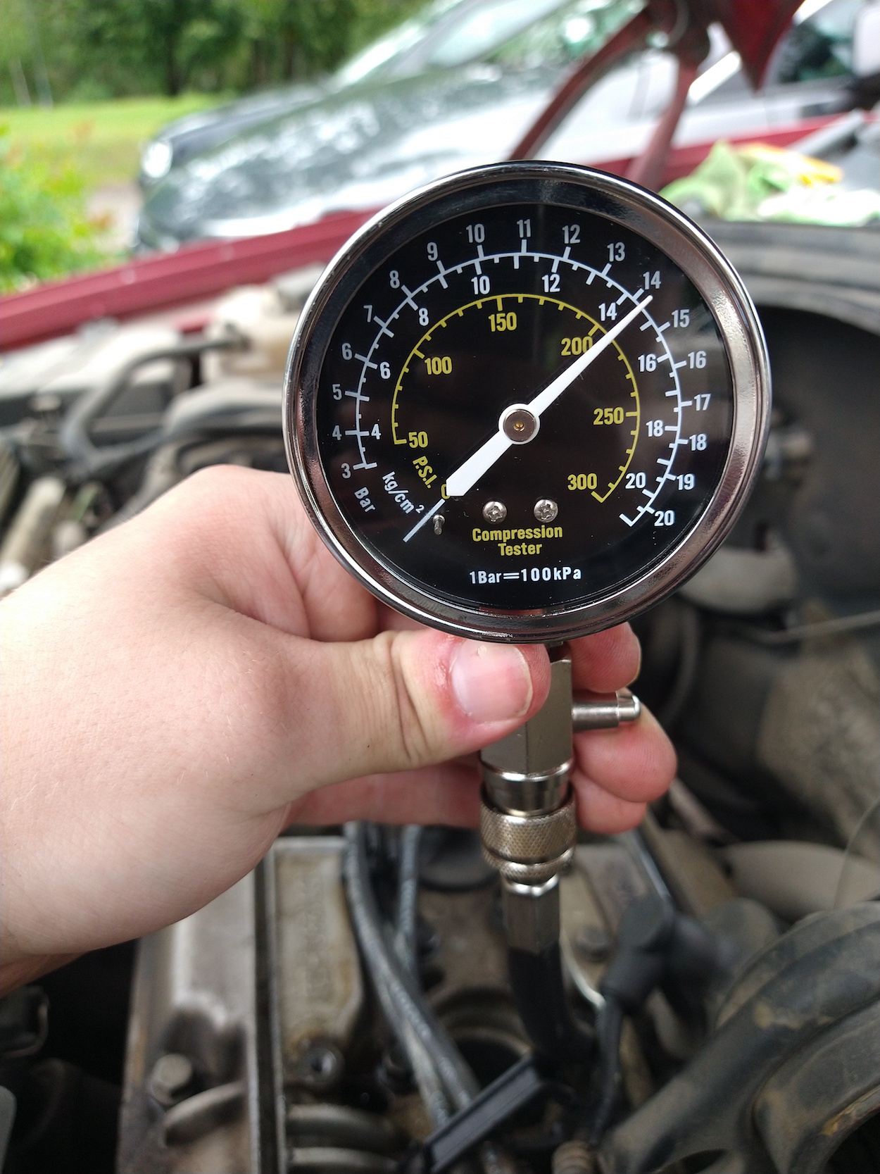 compr5.jpg