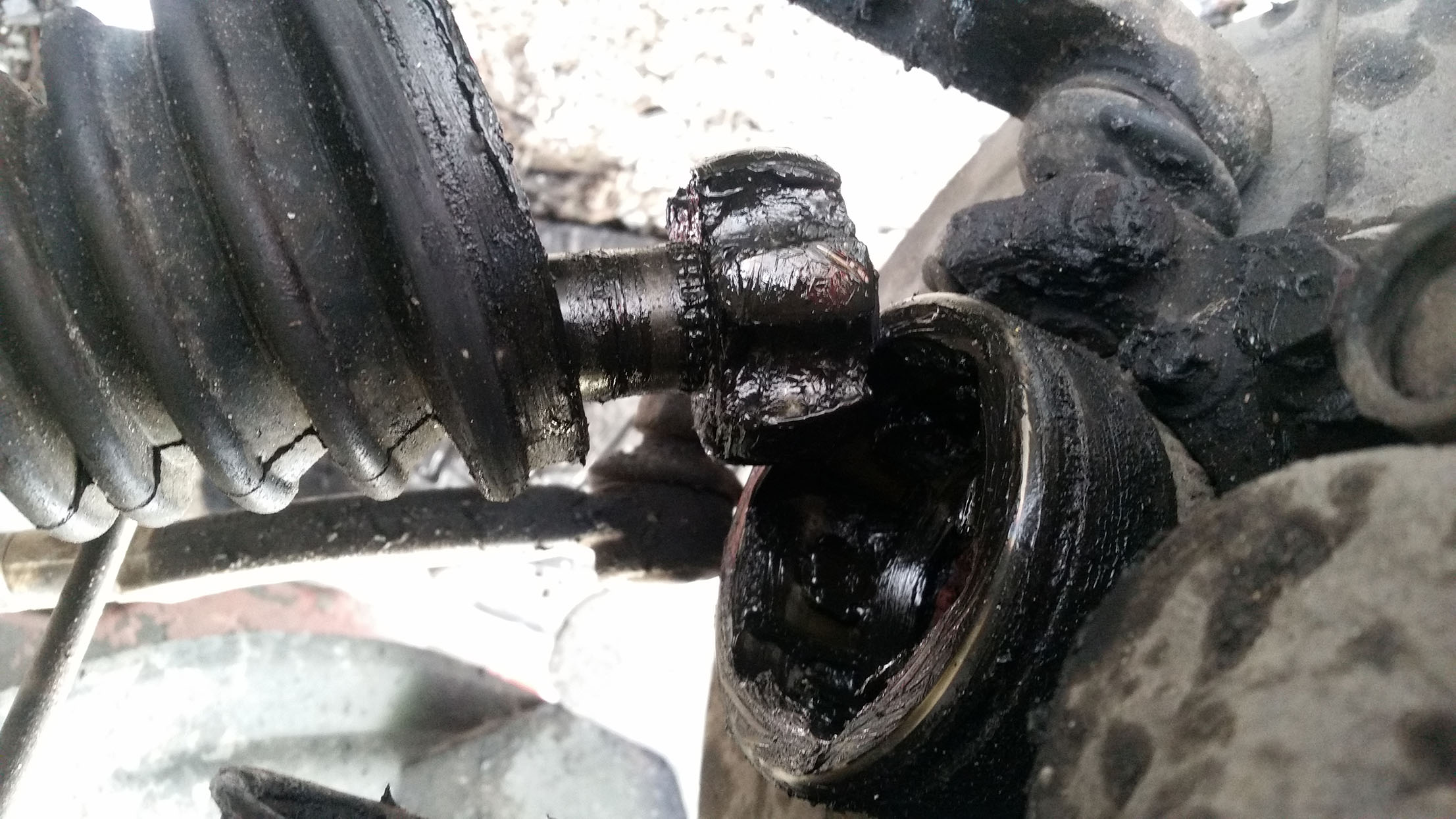 cvaxle3.jpeg