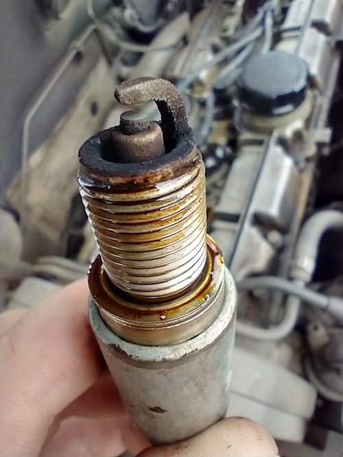 plug1.jpg